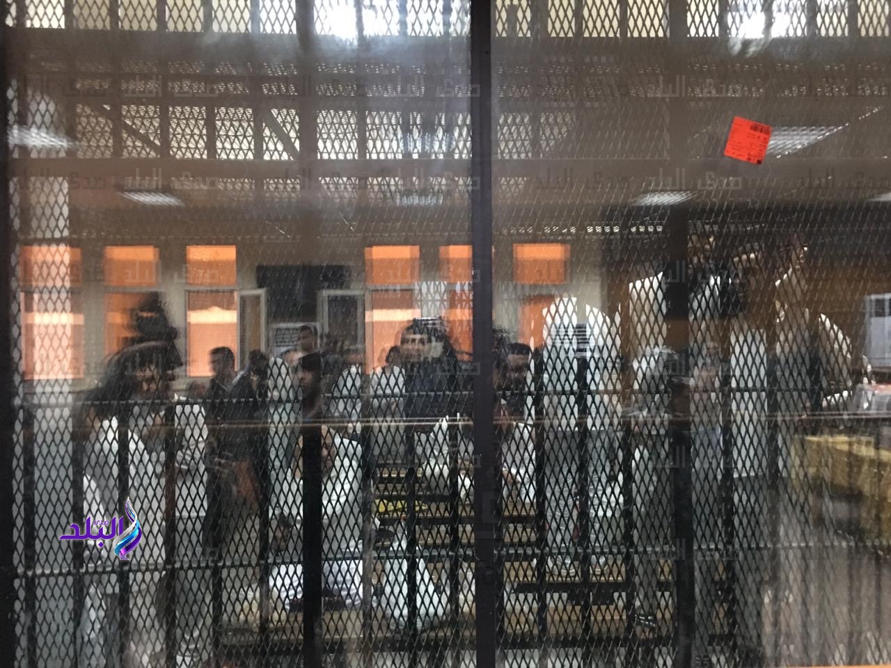 المتهمين فى انصار بيت المقدس 