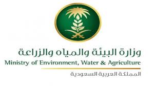 البيئة السعودية