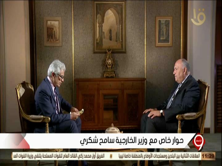 سامح شكرى وزير الخارجية