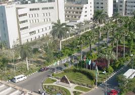 جامعة المنصورة 