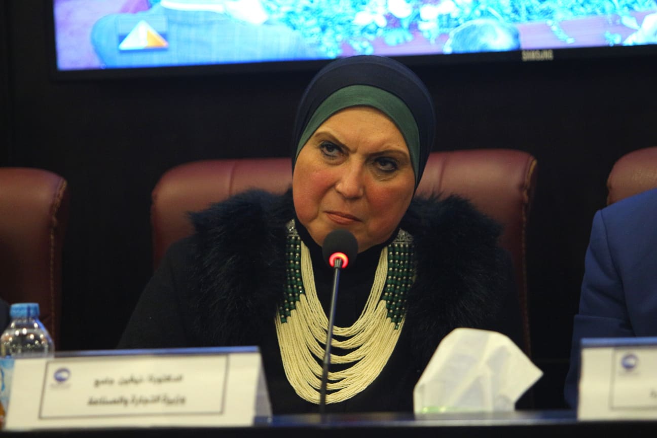 نيفين جامع، وزيرة التجارة والصناعة