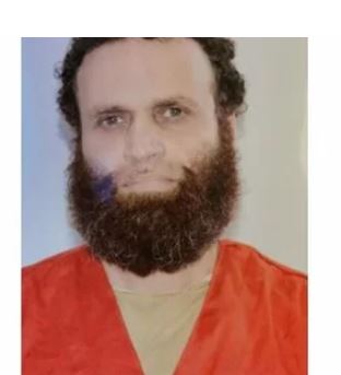 هشام عشماوى 