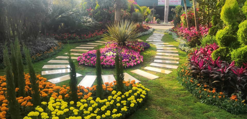معرض زهور الربيع