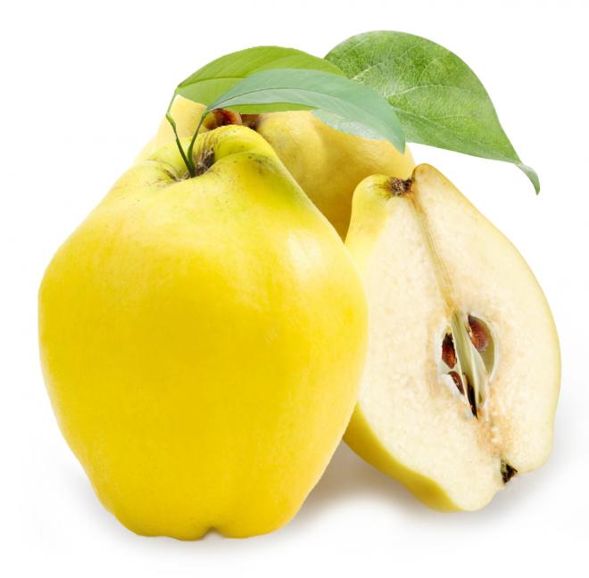 فوائد السفرجل
