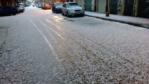 الاسكندريه 