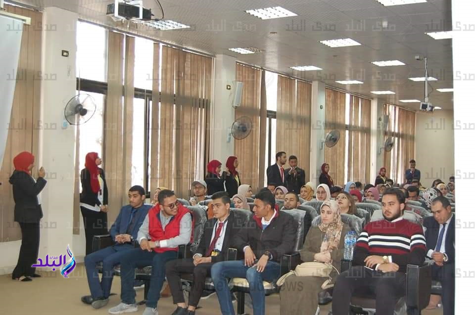 نموذج مجلس الوزراء المصرى