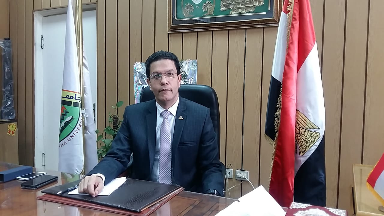 رئيس الجامعة المصرية اليابانية