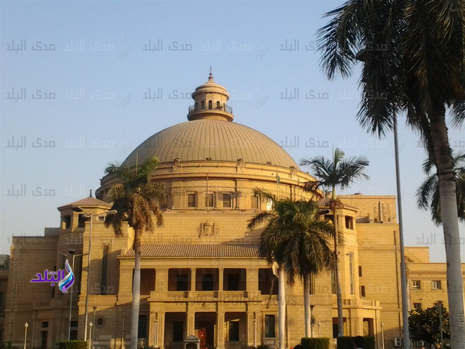 جامعة القاهرة