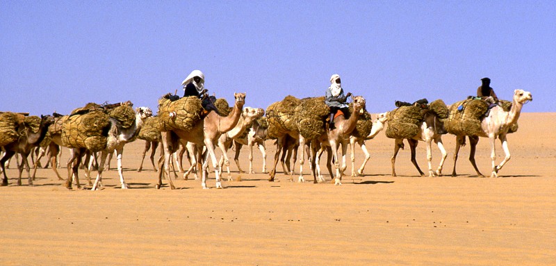 النيجر