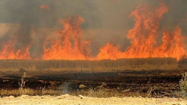صورة أرشيفية - حريق