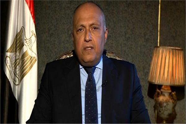 وزير الخارجية  سامح شكرى