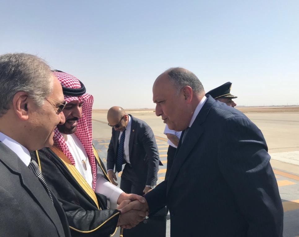 وزير الخارجية سامح شكرى 