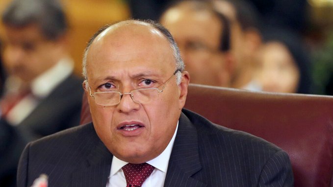 سامح شكري وزير الخارجية