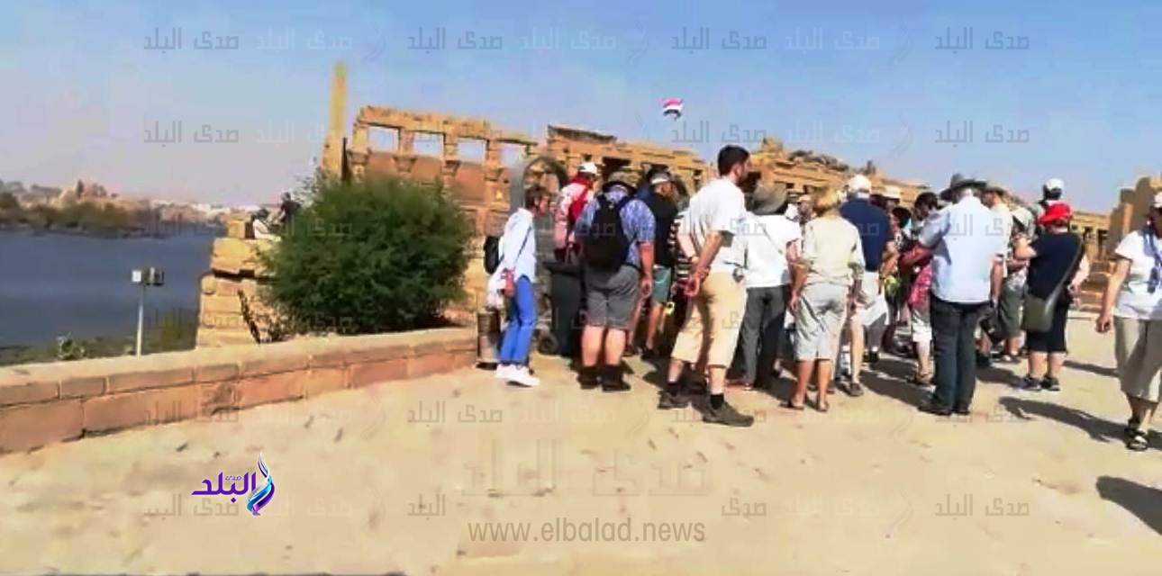 الأفواج السياحية يستمتعون بأجواء أسوان