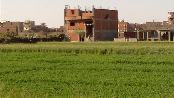 التعدى على الأراضى