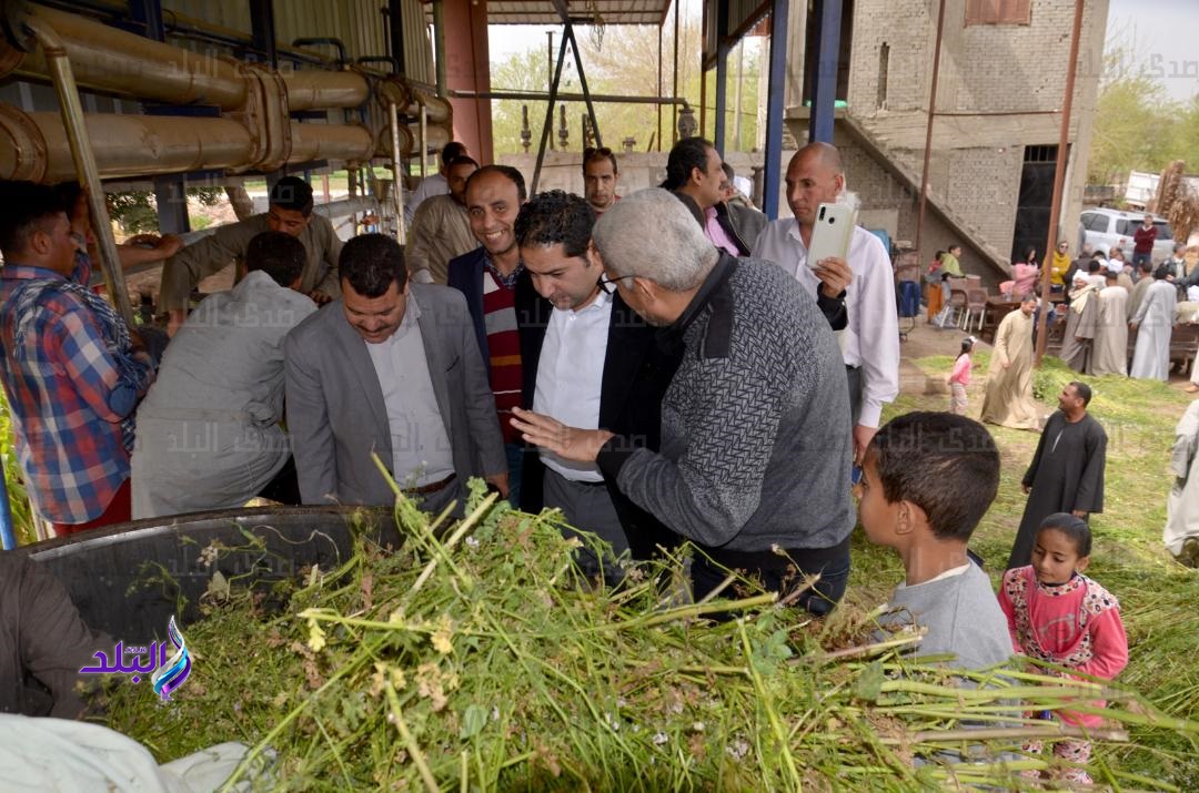 محطة تقطير زيوت الكسبرة في بني سويف