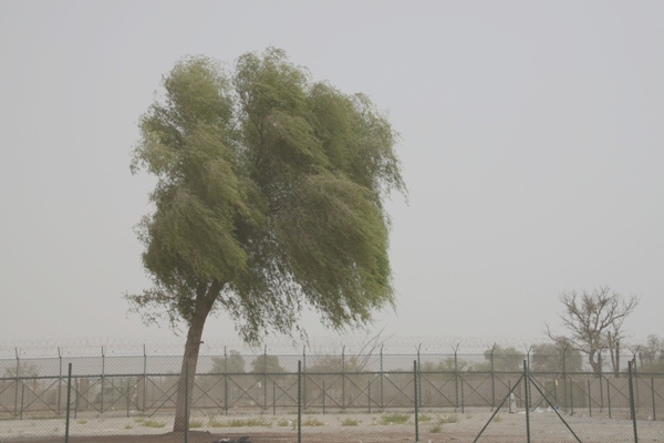 عواصف