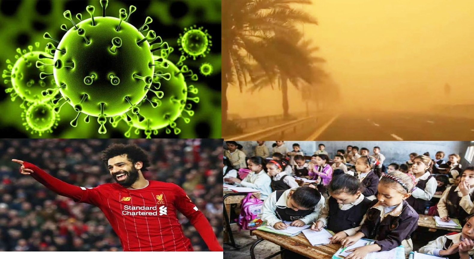 اهم الاخبار 