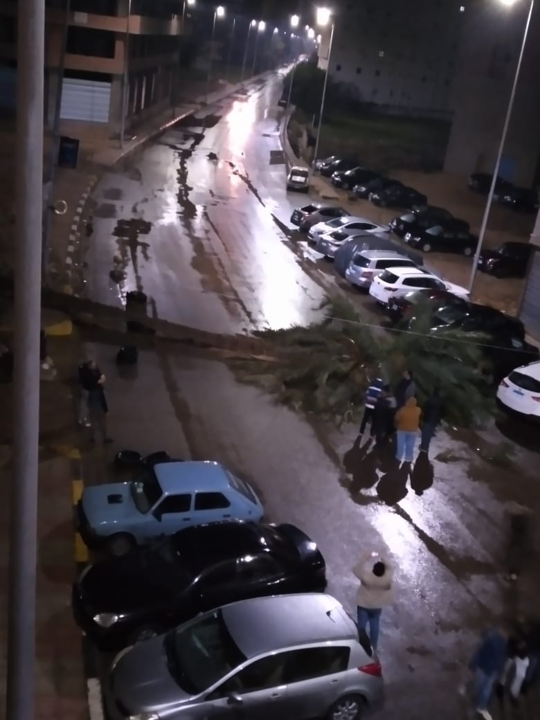 سقوط نخلة