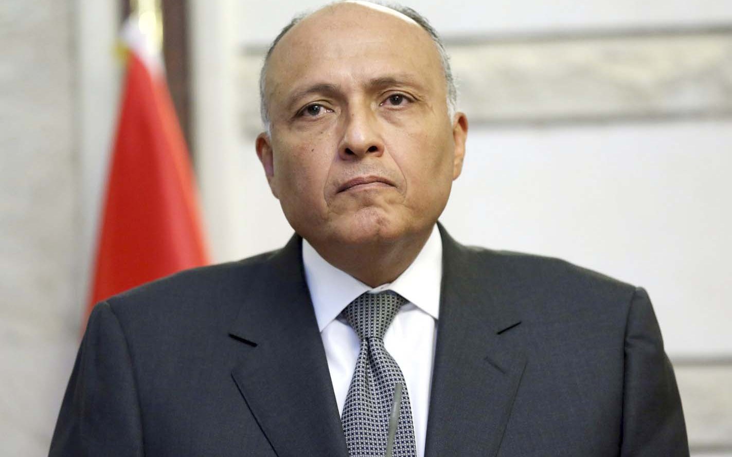 وزير الخارجية سامح شكري