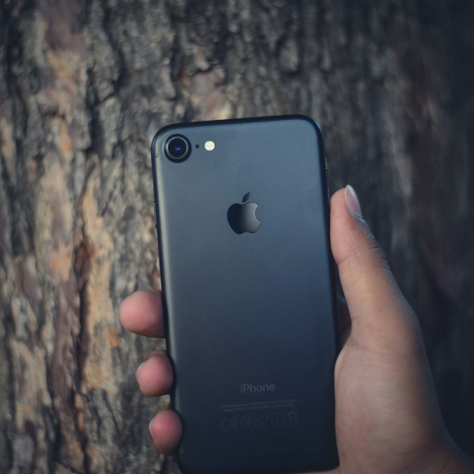 iphone 7