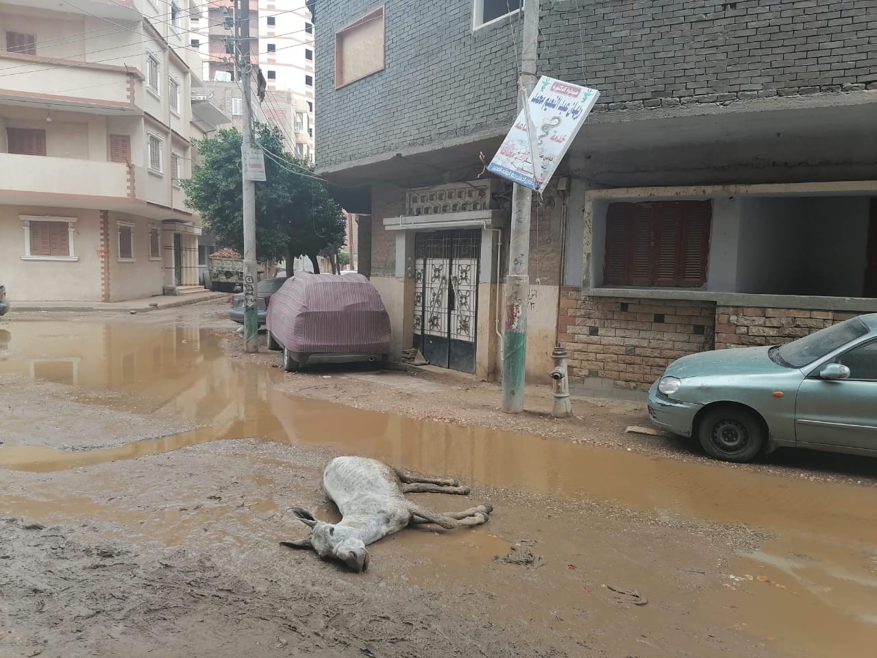 انقطاع التيار الكهربائى ومياه الشرب عن قري المنيا