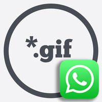 GIF WhatsApp