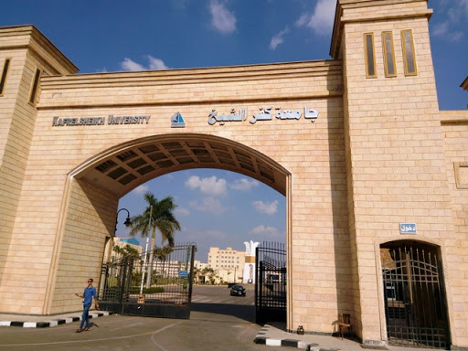 جامعة كفر الشيخ - صورة أرشيفية 