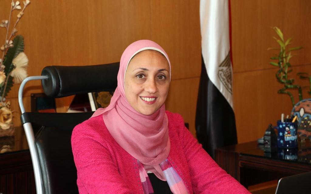 المهندسة هالة الجوهري