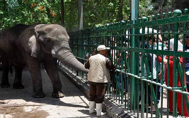 حديقة الحيوان - ارشيفية 