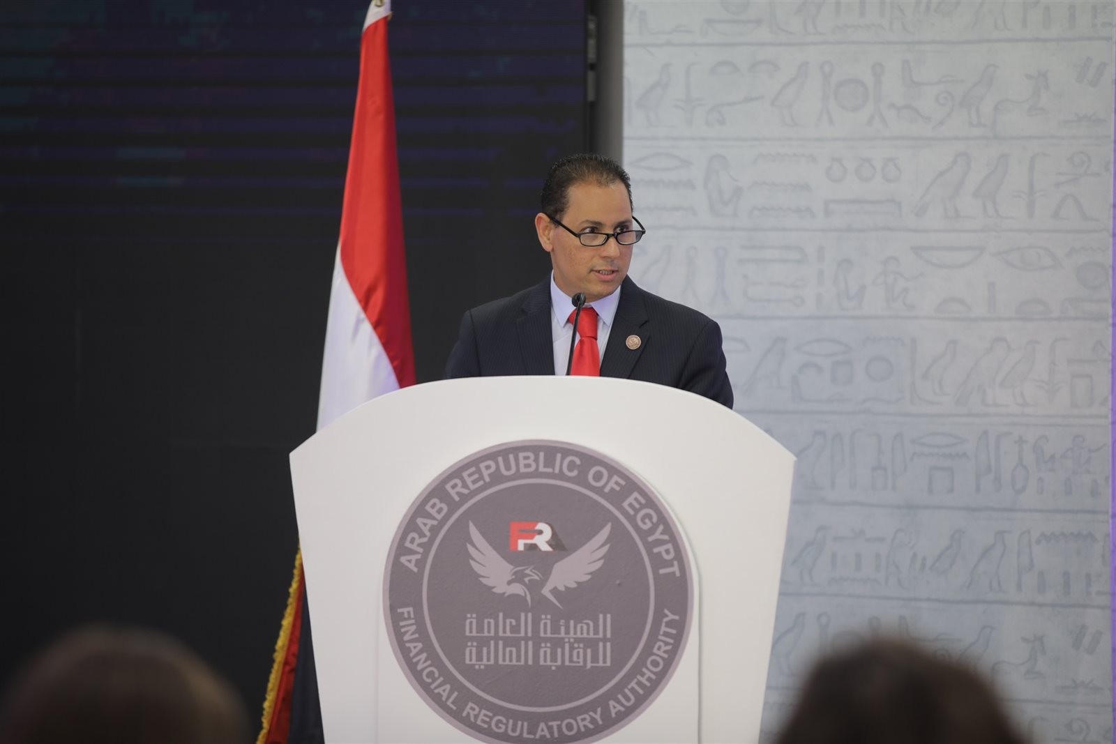 الدكتور محمد عمران رئيس الهيئة العامةللرقابة المالية