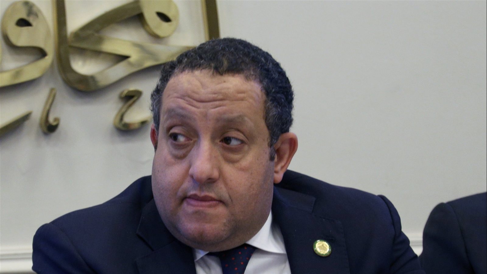 النائب محمد عبد الغنى