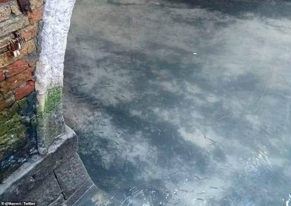 المياه صافية في شوارع إيطاليا