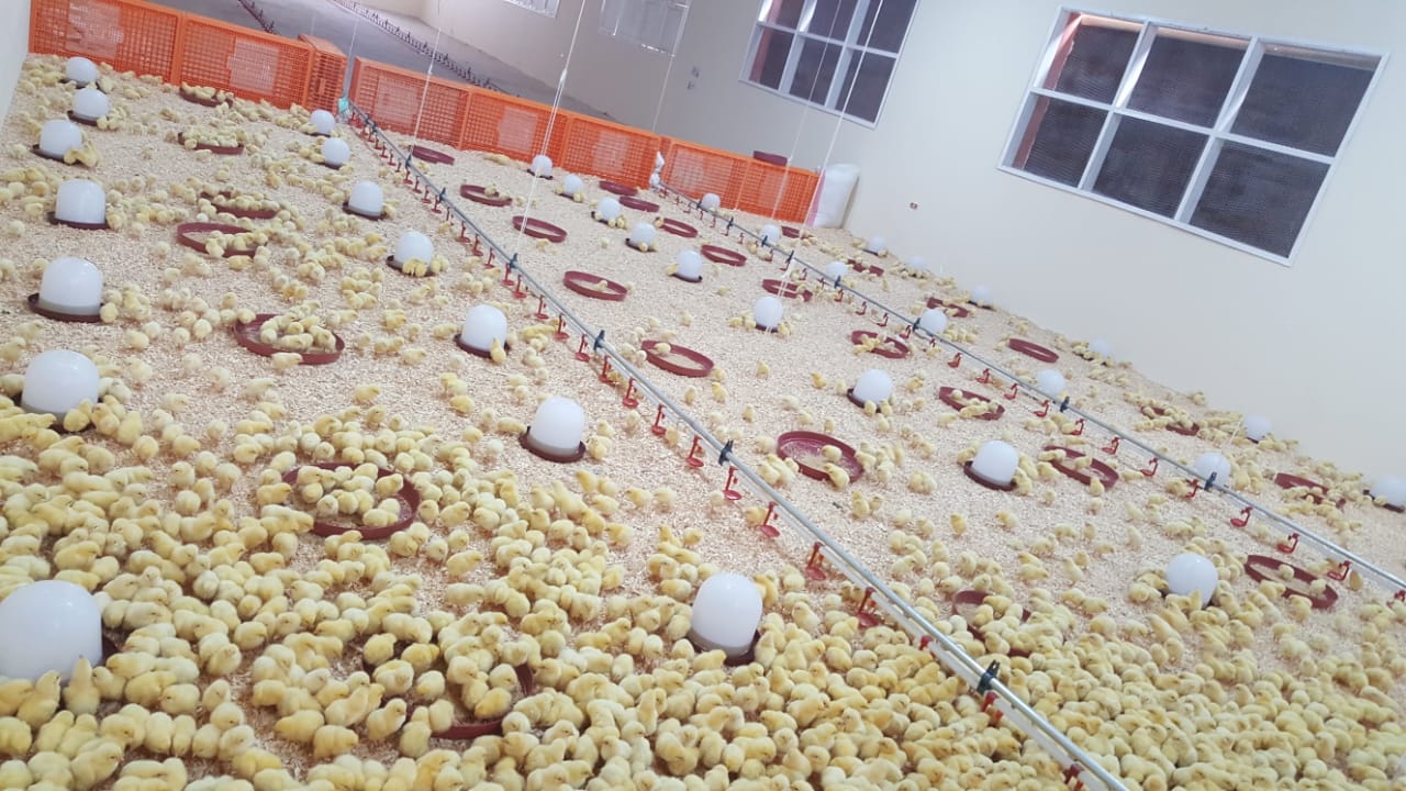 صورة من الحدث 