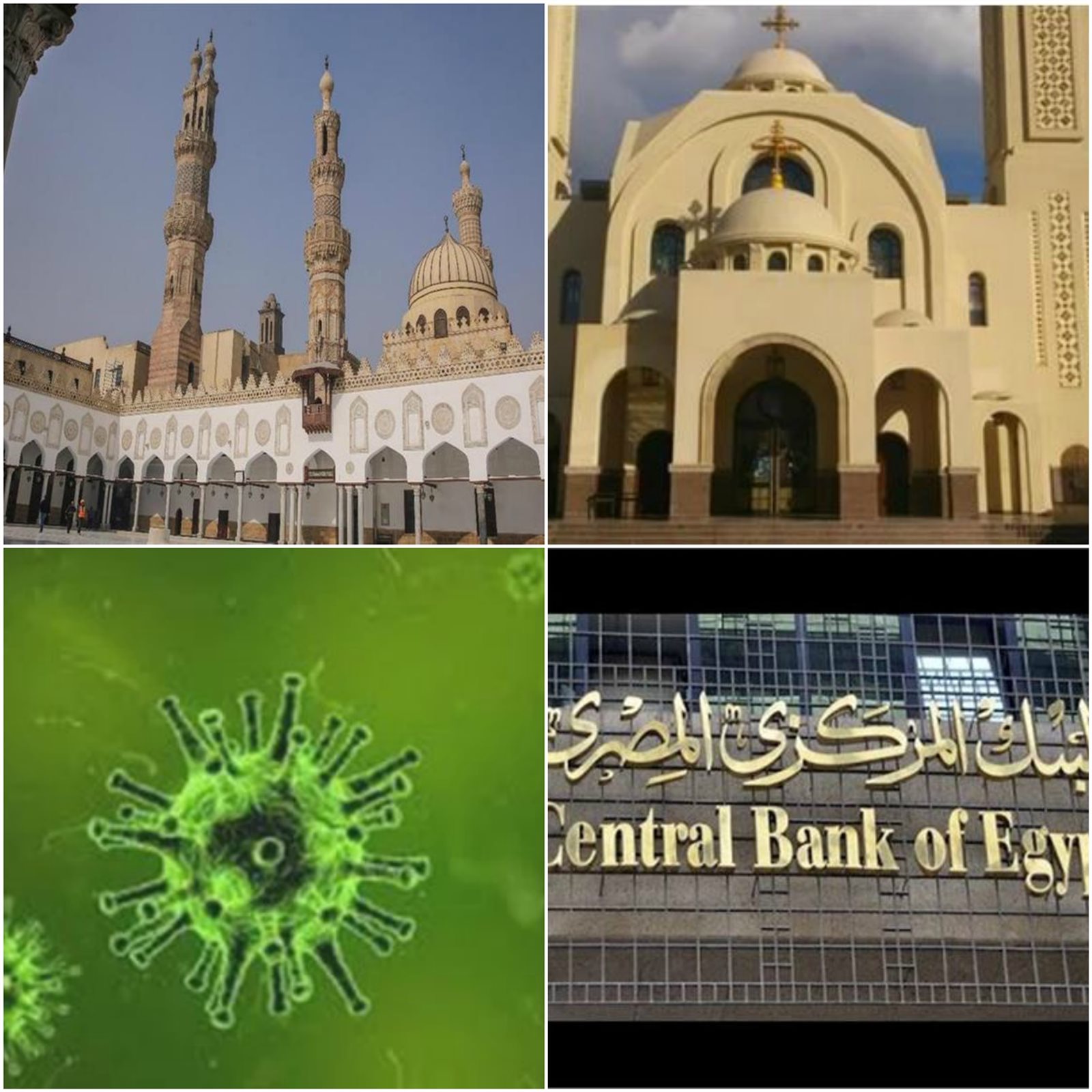 أهم الأخبار