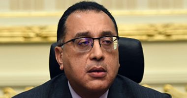رئيس الوزراء المصرى 
