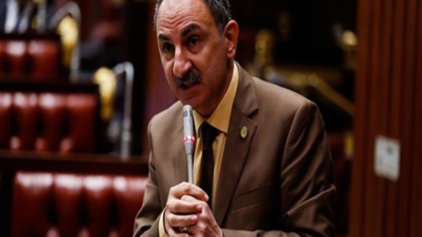 مجدي ملك عضو مجلس النواب