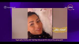 فنانون يوجهون رسالة لكل من يمتلك حيوانا أليفا