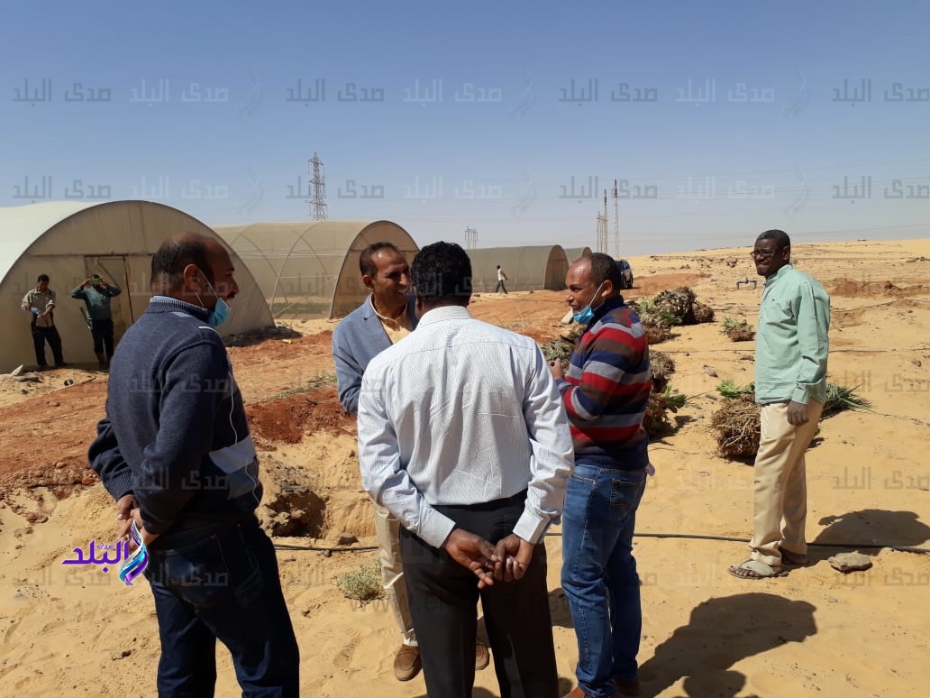 جانب من عملية المتابعة 
