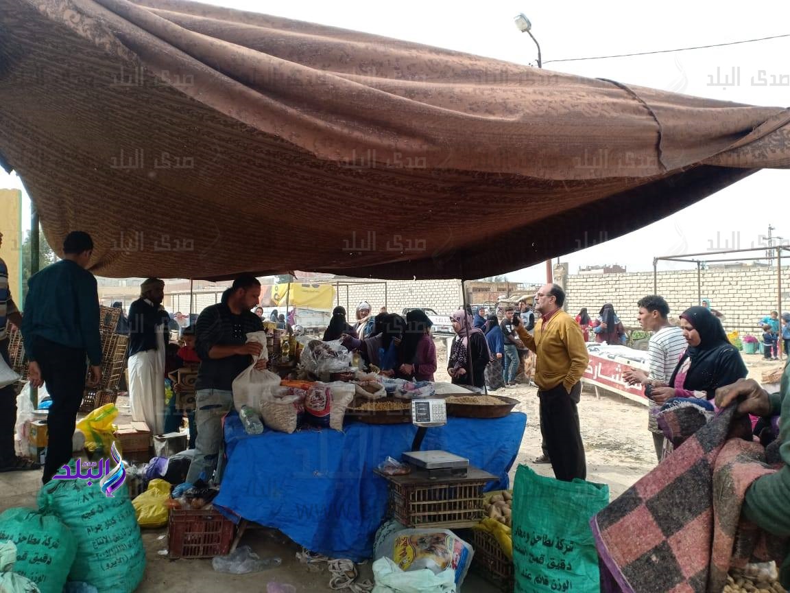 إزالة 3 أسواق في قرى الإسكندرية