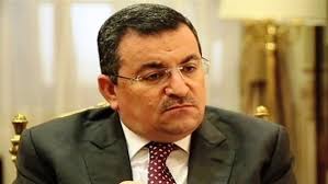 وزير الإعلام أسامة هيكل 