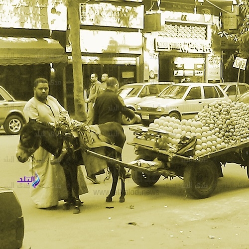 بائع متجول