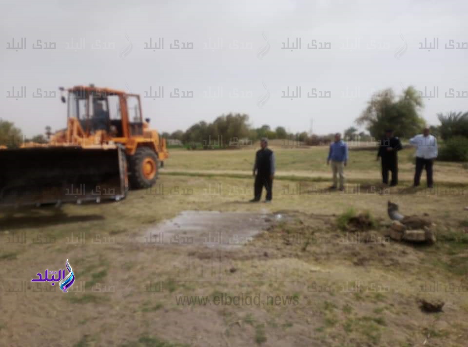 إزالة التعديات على أراضى ملك الدولة بالوادى الجديد
