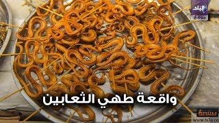 تناول الثعابين