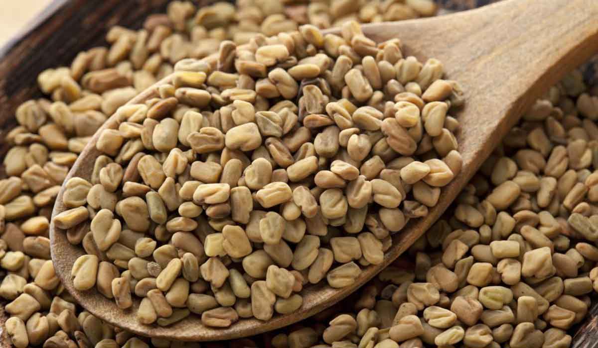 فوائد الحلبة