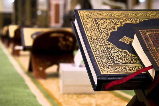 شعرة في المصحف  كتاب اخر الزمان فيروس كورونا بالقرآن