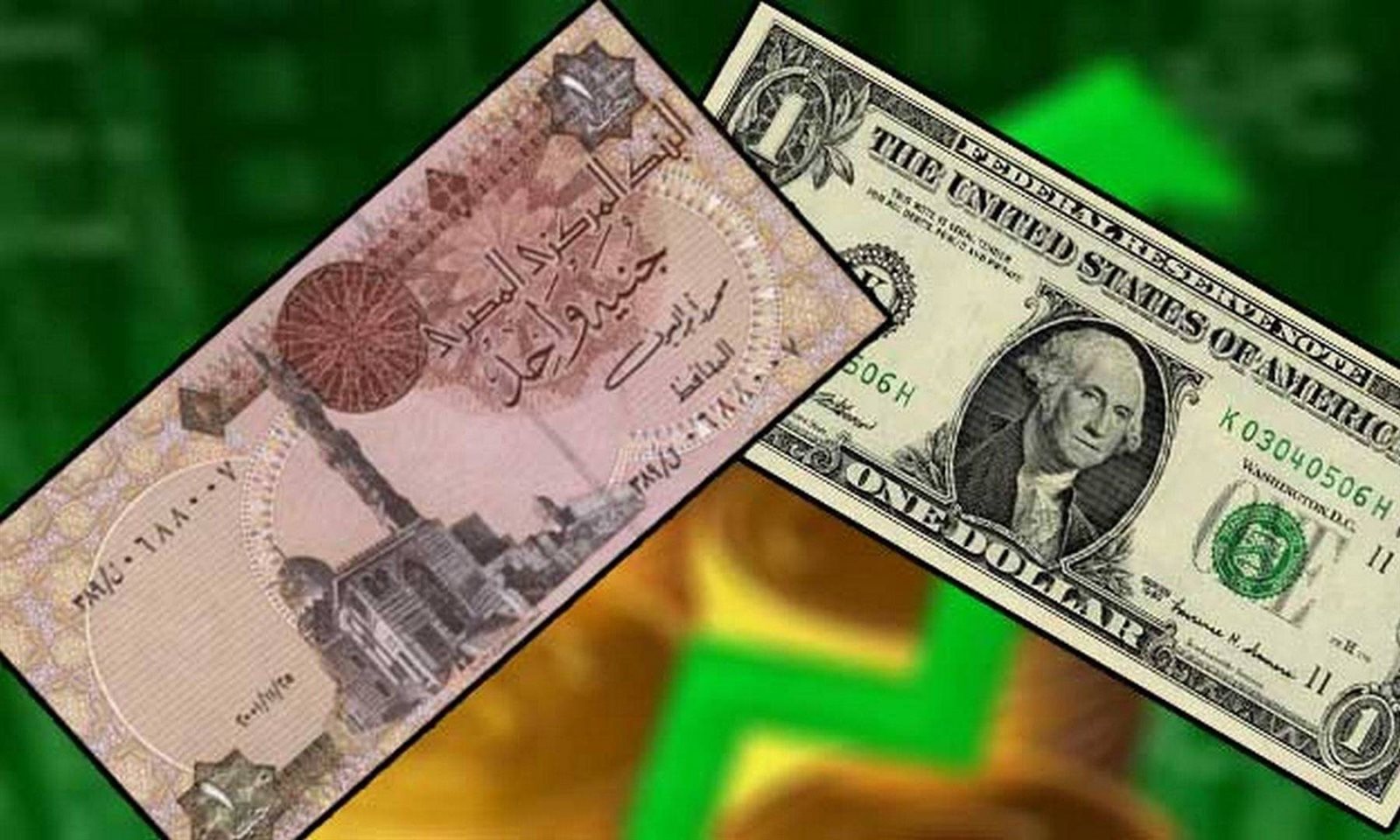الدولار امام الجنيه 