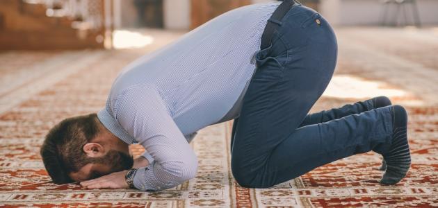 هل تقوم الصدقة مكان الزكاة والسنن مقام الفرائض ؟