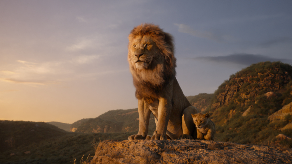  "Lion king"