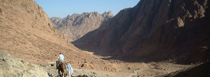 هل زار النبي محمد مصر؟ تعرف على الإجابة بالأدلة